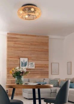 Trio Lighting Sisustusvalaisimet*tuuletinkattovalaisin Lillesand 4xE27 mattamus