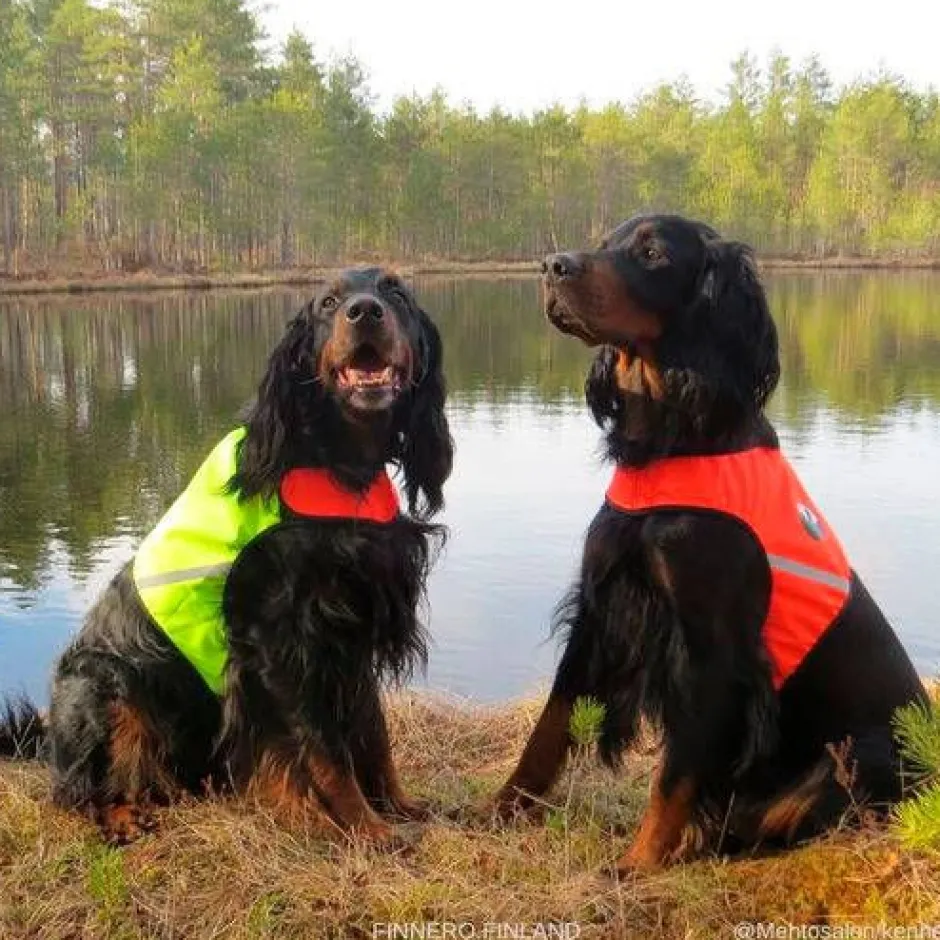 Finnero Koirat*UKKO Signal Vest Metsästysliivi, punainen/keltainen, S