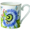 Villeroy&Boch Astiat*Amazonia Muki 0,30l