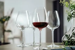 Villeroy&Boch Astiat*Purismo lasisetti 12 osaa