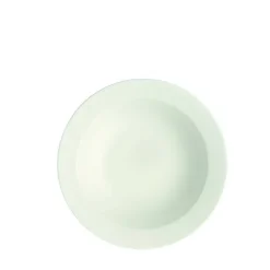 Villeroy&Boch Astiat*Royal Lautanen 20cm